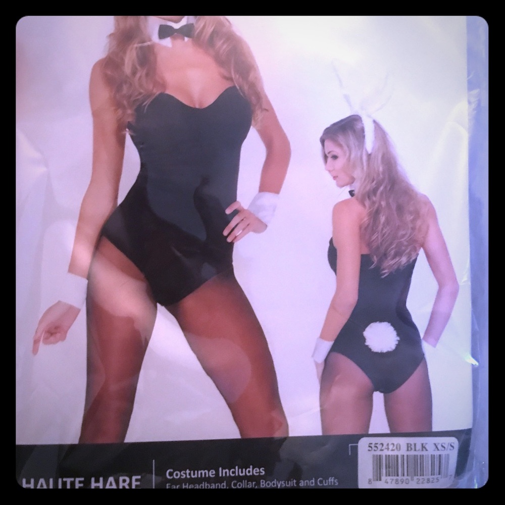 Sexy Bunny/Hare costume